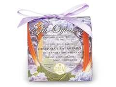 Nesti Dante 'Gli Officinali' Hydrangea & Rhubarb Soap 200g