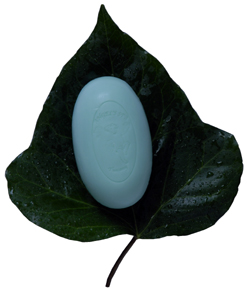 Bath Soap with Ginger, Sage and Rosemary Oil