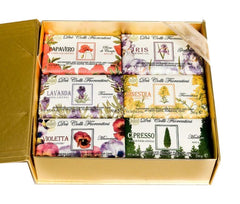 Nesti Dante Dei Colli Fiorentini Soaps Gold Box - (6 x 250g)